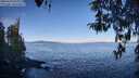 ./images/koeye/fitz-hugh/20260410/fitz-hugh20260410_094001M.jpg
