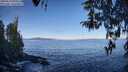 ./images/koeye/fitz-hugh/20260410/fitz-hugh20260410_094501M.jpg