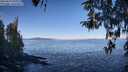./images/koeye/fitz-hugh/20260410/fitz-hugh20260410_095001M.jpg