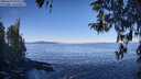 ./images/koeye/fitz-hugh/20260410/fitz-hugh20260410_095502M.jpg
