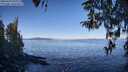 ./images/koeye/fitz-hugh/20260410/fitz-hugh20260410_100002M.jpg
