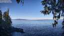 ./images/koeye/fitz-hugh/20260410/fitz-hugh20260410_100501M.jpg