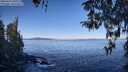 ./images/koeye/fitz-hugh/20260410/fitz-hugh20260410_101002M.jpg