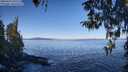 ./images/koeye/fitz-hugh/20260410/fitz-hugh20260410_101501M.jpg