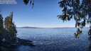 ./images/koeye/fitz-hugh/20260410/fitz-hugh20260410_102501M.jpg