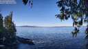 ./images/koeye/fitz-hugh/20260410/fitz-hugh20260410_103001M.jpg