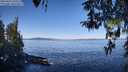 ./images/koeye/fitz-hugh/20260410/fitz-hugh20260410_103502M.jpg