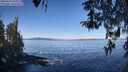 ./images/koeye/fitz-hugh/20260410/fitz-hugh20260410_104001M.jpg