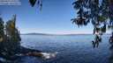 ./images/koeye/fitz-hugh/20260410/fitz-hugh20260410_104501M.jpg