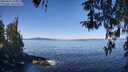 ./images/koeye/fitz-hugh/20260410/fitz-hugh20260410_105001M.jpg