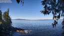 ./images/koeye/fitz-hugh/20260410/fitz-hugh20260410_105502M.jpg