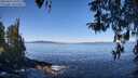 ./images/koeye/fitz-hugh/20260410/fitz-hugh20260410_110001M.jpg