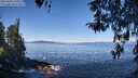 ./images/koeye/fitz-hugh/20260410/fitz-hugh20260410_110501M.jpg