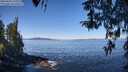 ./images/koeye/fitz-hugh/20260410/fitz-hugh20260410_111001M.jpg