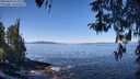 ./images/koeye/fitz-hugh/20260410/fitz-hugh20260410_111502M.jpg