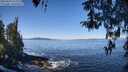./images/koeye/fitz-hugh/20260410/fitz-hugh20260410_112002M.jpg