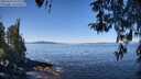 ./images/koeye/fitz-hugh/20260410/fitz-hugh20260410_112501M.jpg