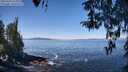 ./images/koeye/fitz-hugh/20260410/fitz-hugh20260410_113001M.jpg