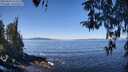 ./images/koeye/fitz-hugh/20260410/fitz-hugh20260410_113501M.jpg