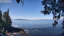 ./images/koeye/fitz-hugh/20260410/fitz-hugh20260410_115501M.jpg