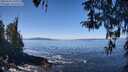 ./images/koeye/fitz-hugh/20260410/fitz-hugh20260410_120501M.jpg