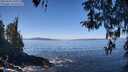 ./images/koeye/fitz-hugh/20260410/fitz-hugh20260410_121001M.jpg