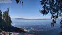 ./images/koeye/fitz-hugh/20260410/fitz-hugh20260410_122502M.jpg