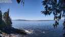 ./images/koeye/fitz-hugh/20260410/fitz-hugh20260410_123001M.jpg