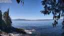 ./images/koeye/fitz-hugh/20260410/fitz-hugh20260410_123501M.jpg