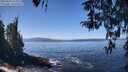 ./images/koeye/fitz-hugh/20260410/fitz-hugh20260410_124001M.jpg