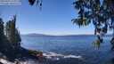 ./images/koeye/fitz-hugh/20260410/fitz-hugh20260410_125001M.jpg