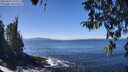 ./images/koeye/fitz-hugh/20260410/fitz-hugh20260410_125501M.jpg