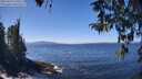 ./images/koeye/fitz-hugh/20260410/fitz-hugh20260410_130501M.jpg