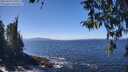./images/koeye/fitz-hugh/20260410/fitz-hugh20260410_131001M.jpg