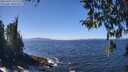 ./images/koeye/fitz-hugh/20260410/fitz-hugh20260410_131501M.jpg