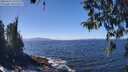 ./images/koeye/fitz-hugh/20260410/fitz-hugh20260410_132501M.jpg