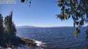 ./images/koeye/fitz-hugh/20260410/fitz-hugh20260410_133502M.jpg