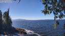 ./images/koeye/fitz-hugh/20260410/fitz-hugh20260410_134002M.jpg