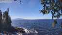 ./images/koeye/fitz-hugh/20260410/fitz-hugh20260410_134501M.jpg