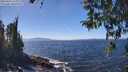 ./images/koeye/fitz-hugh/20260410/fitz-hugh20260410_135001M.jpg