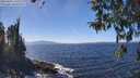 ./images/koeye/fitz-hugh/20260410/fitz-hugh20260410_135501M.jpg