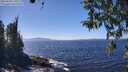 ./images/koeye/fitz-hugh/20260410/fitz-hugh20260410_140501M.jpg