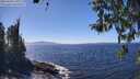 ./images/koeye/fitz-hugh/20260410/fitz-hugh20260410_141002M.jpg