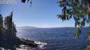 ./images/koeye/fitz-hugh/20260410/fitz-hugh20260410_144002M.jpg