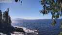 ./images/koeye/fitz-hugh/20260410/fitz-hugh20260410_144501M.jpg