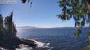 ./images/koeye/fitz-hugh/20260410/fitz-hugh20260410_145002M.jpg