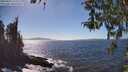 ./images/koeye/fitz-hugh/20260410/fitz-hugh20260410_152002M.jpg
