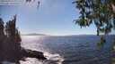 ./images/koeye/fitz-hugh/20260410/fitz-hugh20260410_153002M.jpg
