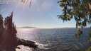 ./images/koeye/fitz-hugh/20260410/fitz-hugh20260410_153501M.jpg