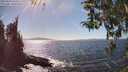 ./images/koeye/fitz-hugh/20260410/fitz-hugh20260410_154002M.jpg